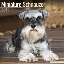 Calendrier 2019 schnauzer d'occasion  Troyes