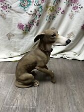 Leonardo collection greyhound for sale  SWANSEA