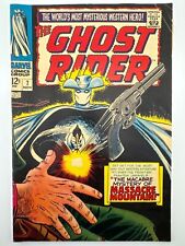 Ghost rider fine for sale  Simpsonville