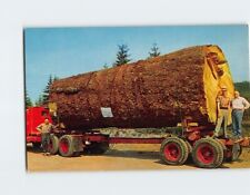 Postcard giant fir for sale  Almond