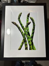 Picture green asparagus for sale  Bayside