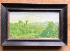 Jan Volschenk Old Print of Signed 1912 South African Landscape. Old Frame. for sale  Shipping to South Africa