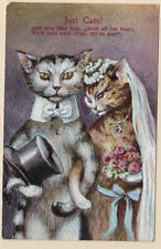 Cat marriage till for sale  SUNBURY-ON-THAMES
