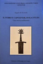 Libro ferro capoliveri usato  Civitanova Marche