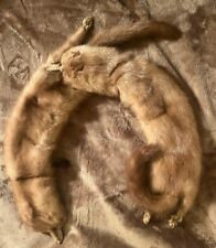 Mink fur pelts for sale  Coram