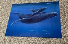 Humpback whale glossy for sale  Marysville
