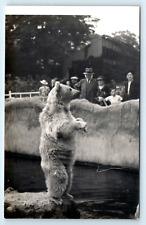 Postcard zoo polar for sale  LLANFAIRFECHAN