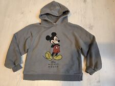 Hoody pullover zara gebraucht kaufen  Gerstungen