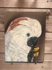 Moluccan cockatoo parrot for sale  MIDDLESBROUGH