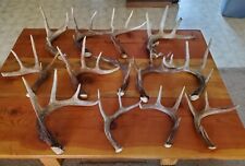 Whitetail deer antlers for sale  Grangeville