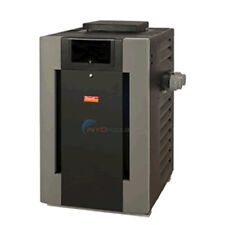 Raypack rheem digital for sale  Champaign