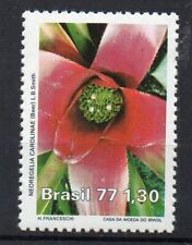 STAMPS - BRAZIL - BRAZIL - FLOWERS - NEOREGELIA CAROLAE - 1977 - for sale  Shipping to South Africa