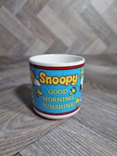 Snoopy woodstock mug for sale  WELSHPOOL