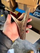 Antler fork thumb for sale  Shipping to Ireland