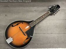 mandolin instrument for sale  Gorham