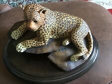 Silkwoods knysna leopard for sale  DRIFFIELD