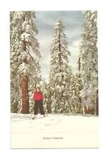 Yosemite redwoods winter for sale  Bowie