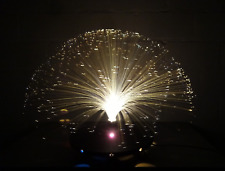 Tischlampe glasfaserlampe 70er gebraucht kaufen  Batenbrock,-Welheim