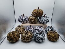 Leopard print pumpkins for sale  Mansfield