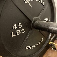 mini barbell 1 for sale  New Hyde Park