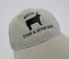 Bristol steer heifer for sale  Bristol