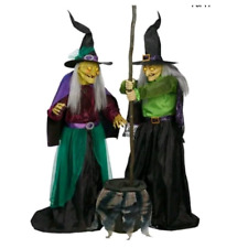 Cauldron brew witches for sale  Olympia