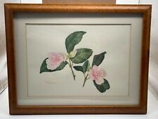 Camellia original framed for sale  LANGPORT