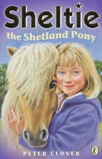 Sheltie shetland pony for sale  Ireland