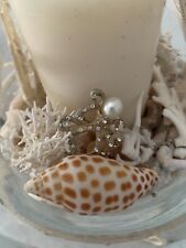 Scaphella junonia shell for sale  Naples