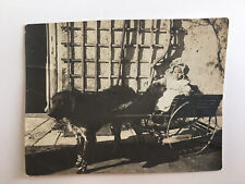 Ancienne photo charrette d'occasion  Ancy-le-Franc