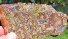 Mushroom jasper rock for sale  Shipping to Canada