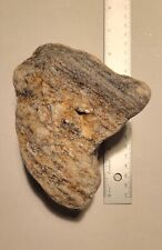 Manhattan Mica Schist Rock W cristais de granada mineral fino raro Nova York NYC comprar usado  Enviando para Brazil