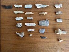 Fossil Bones Teeth Flint Tools Three Holes Cave Tornewton, used for sale  Shipping to South Africa