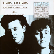 Tears For Fears ‎– Everybody Wants To Rule The World - Shout Rare 12" PROMO LP comprar usado  Enviando para Brazil