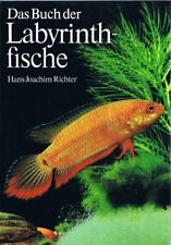 Buch labyrinthfische hans gebraucht kaufen  Weißenfels