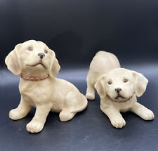 american labrador puppies for sale  Plover