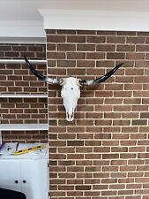 polished cow horns for sale  Harrisonburg