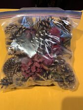 Bag mixed pinecones for sale  Fontana