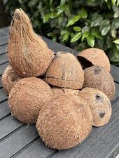 Natural coconut shell for sale  UK