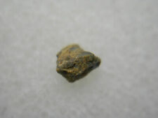 Nwa 1877 meteorite for sale  Venus