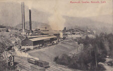 Postcard mammoth smelter usato  Albenga