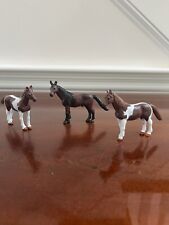 Miniature brown horses for sale  Windham