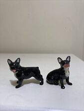 miniature french bulldog for sale  BIRMINGHAM