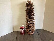X-Large 17” Tall 4-5” Wide Sugar Pine Cone!! California for sale  Shipping to South Africa