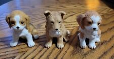 Set homeco puppies for sale  Anamosa