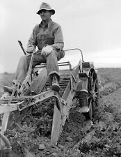 1939 potato farmer for sale  Fitchburg