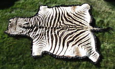Trophy size zebra for sale  Bozeman