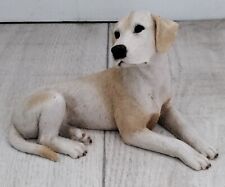 Labrador golden retriever for sale  IPSWICH