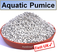 Aquatic pumice fish for sale  Shipping to Ireland