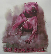 red nose pitbull for sale  Osceola